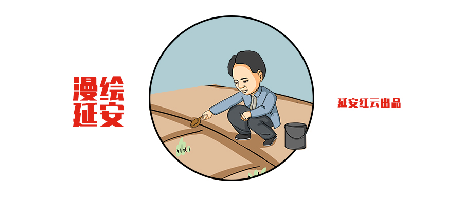 大生产运动中毛主席吃的菜也是自己种的吗？