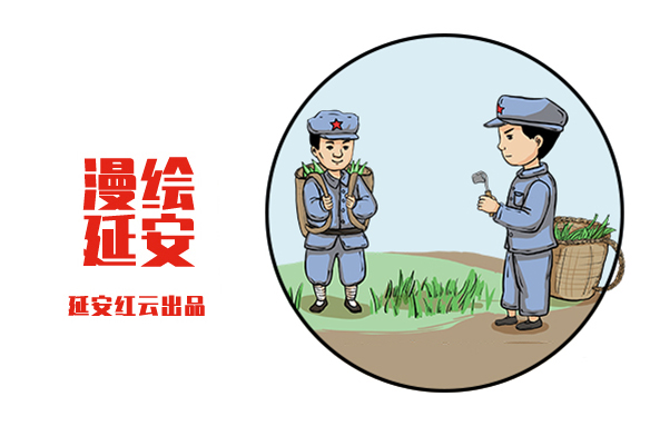 挖野菜也要守纪律，你听说过吗？