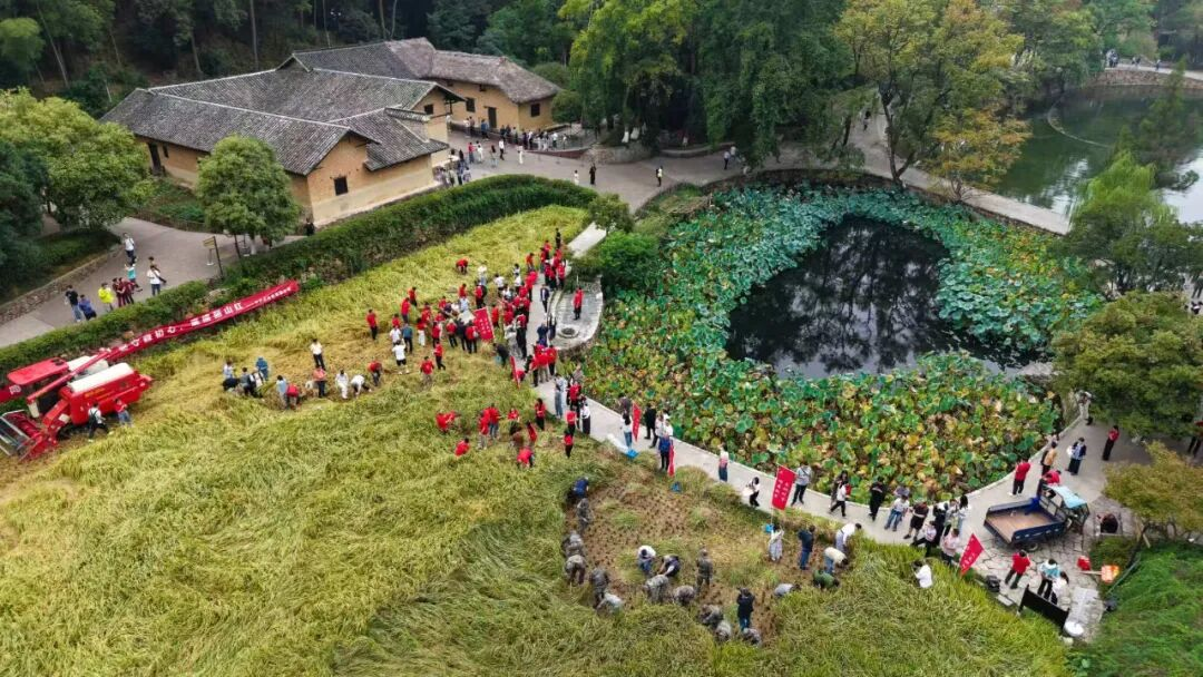 湖南省延会举办2025韶山村生态农业共富责任田“秋收稻谷香，共富韶山田”活动