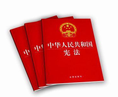 习近平在中共中央政治局第四次集体学习时强调 更加注重发挥宪法重要作用 把实施宪法提高到新的水平